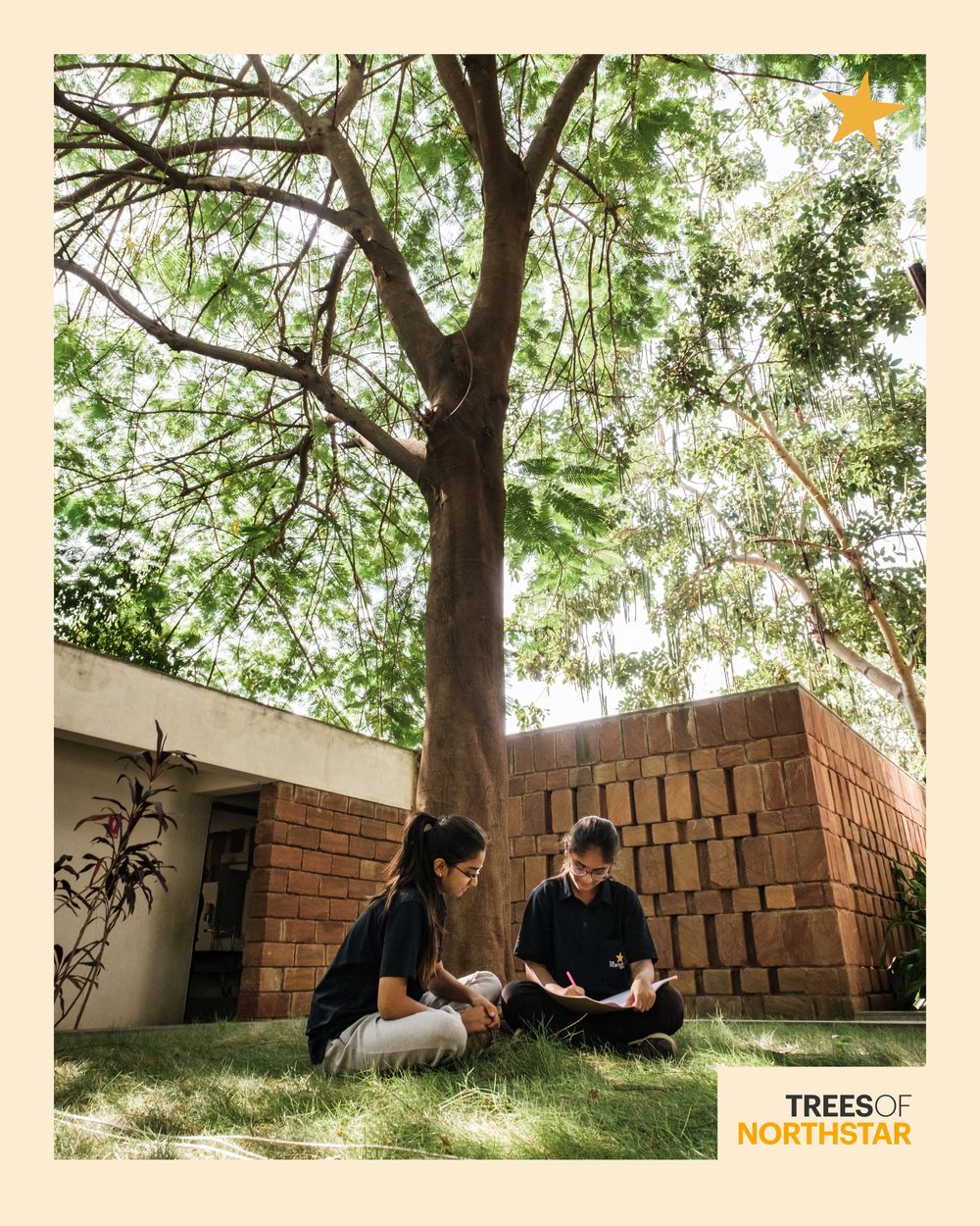 Gulmohar at Northstar