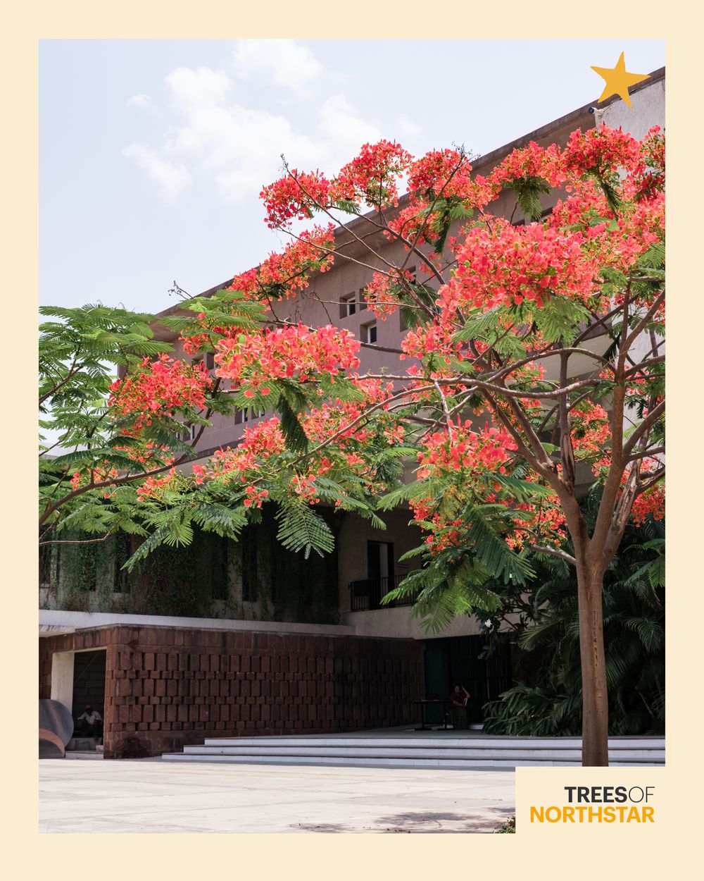 Gulmohar at Northstar