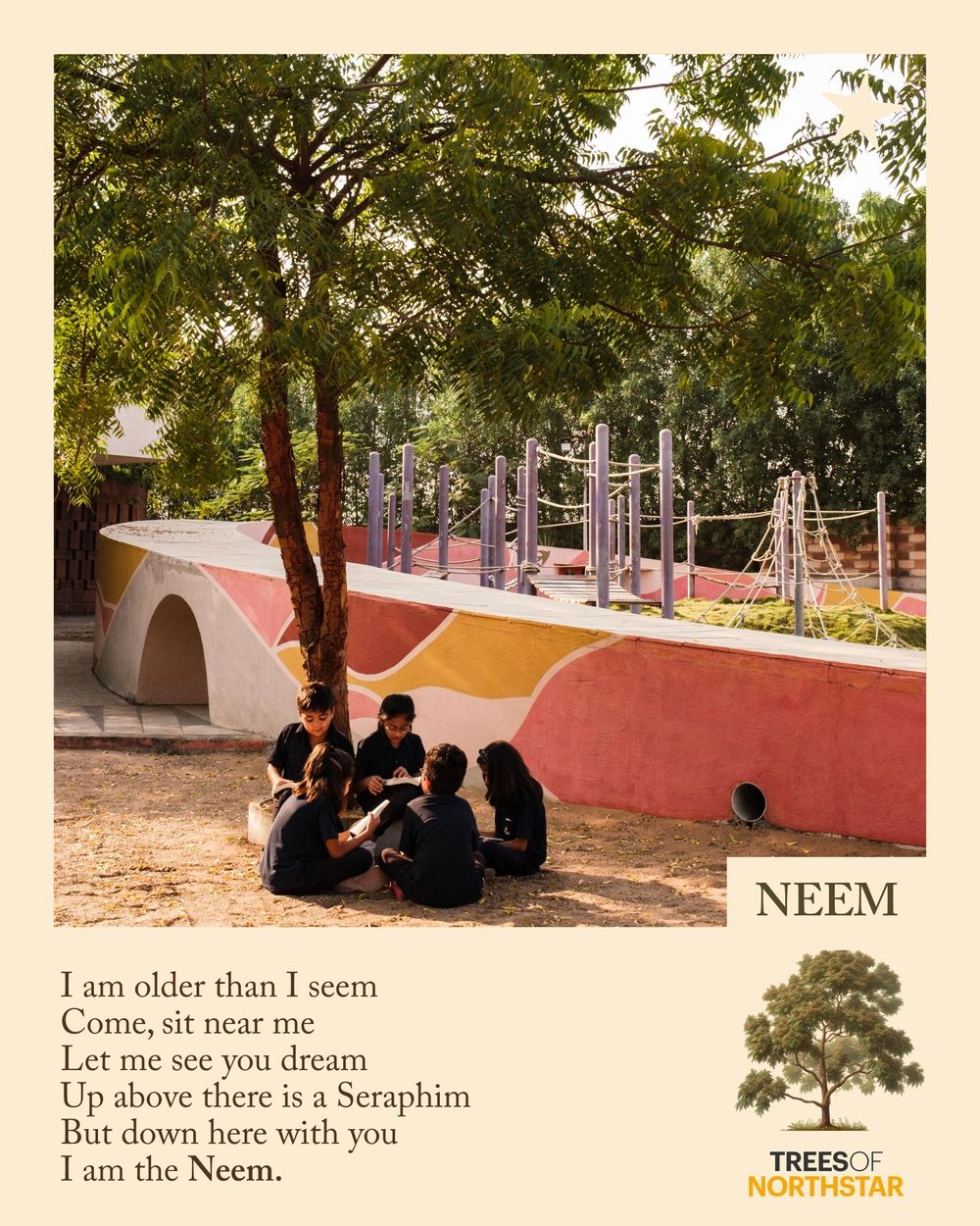 Neem at Northstar