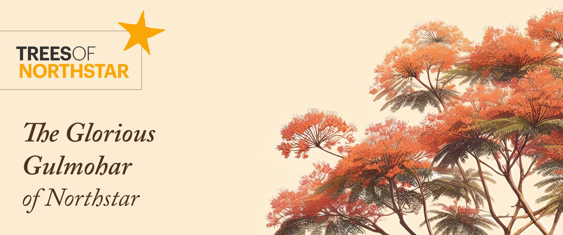 The Glorious Gulmohar — cover