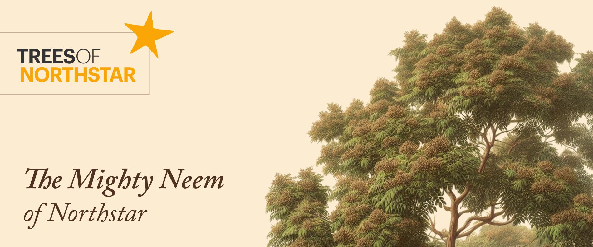 The Mighty Neem — cover