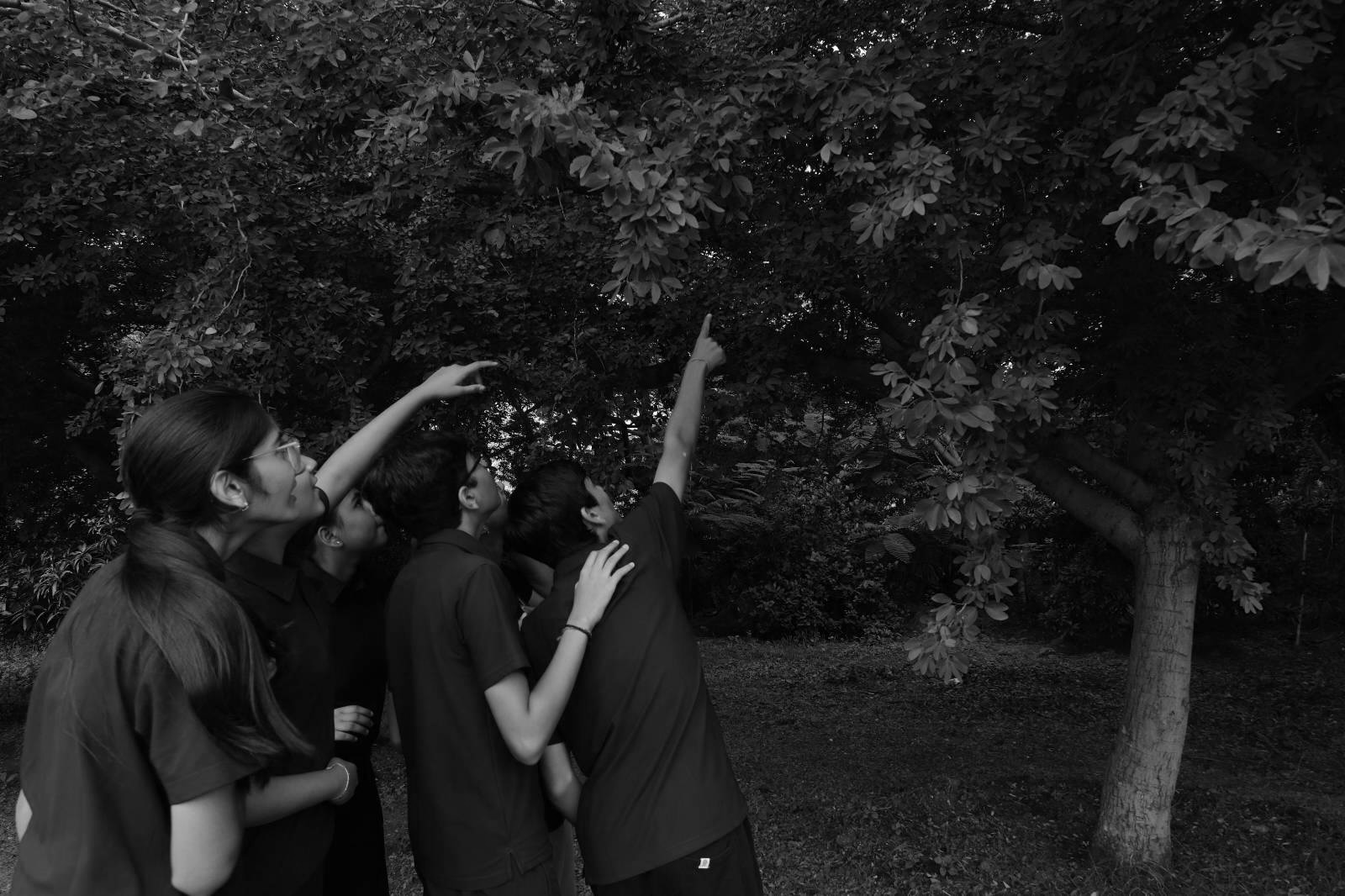 Northstar learners exploring the trees together