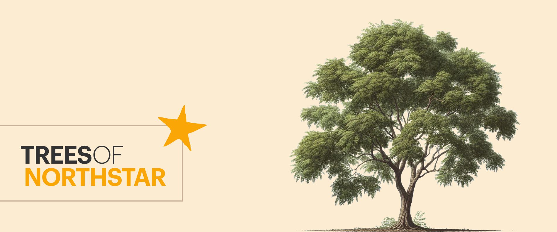 Trees of Northstar — cover